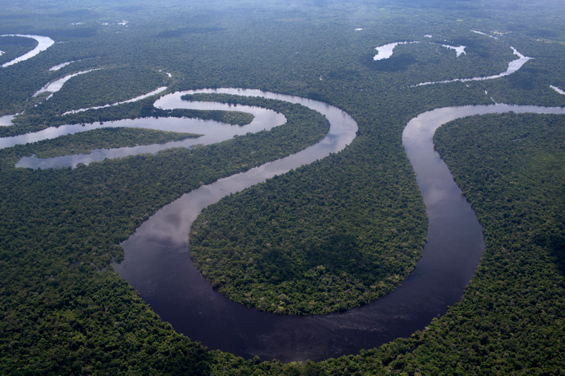 Illustration for article titled Esta mujer sobrevivió 10 días en la selva del Amazonas después de caer en picado desde 3.000 metros de altura